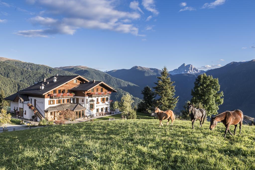 Herol - My Mountain Retreat لوسون المظهر الخارجي الصورة